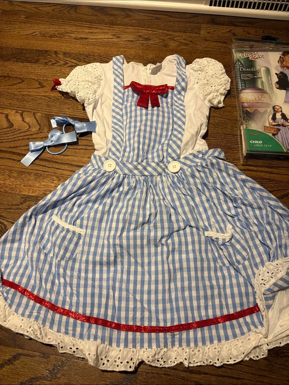 Kids Dorothy Wizard of Oz costume Halloween